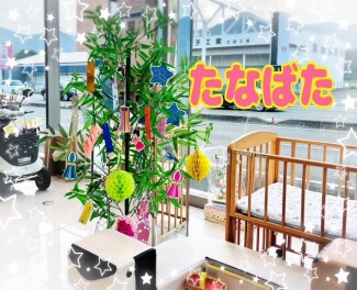 願いが叶いますように☆彡
